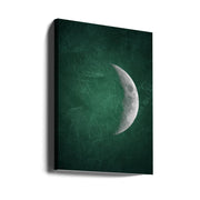 Jade Moon No5 by Ema Paraschiv-canvas-DECOROLALA