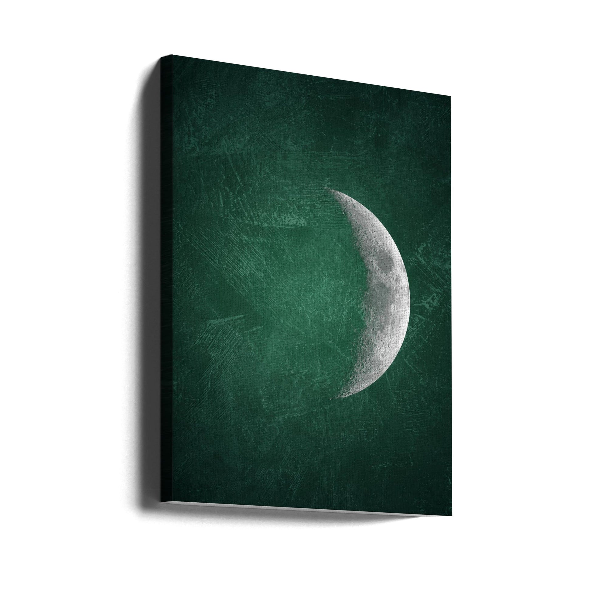 Jade Moon No5 by Ema Paraschiv-canvas-DECOROLALA
