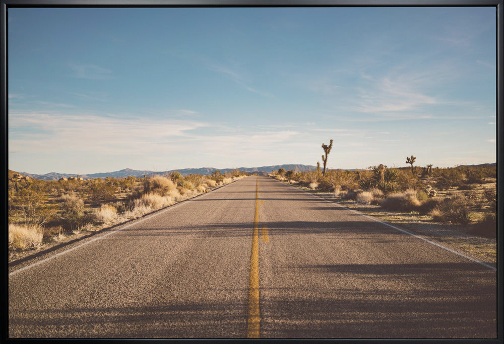 Joshua Tree Road by Bethany Young-canvas-DECOROLALA