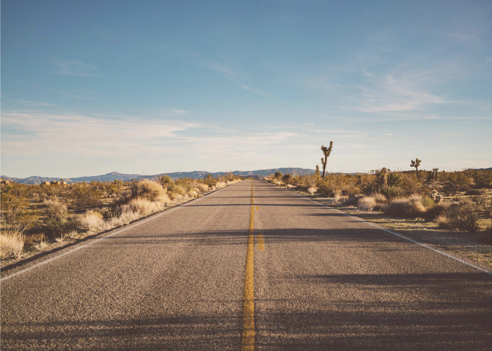 Joshua Tree Road by Bethany Young-canvas-DECOROLALA