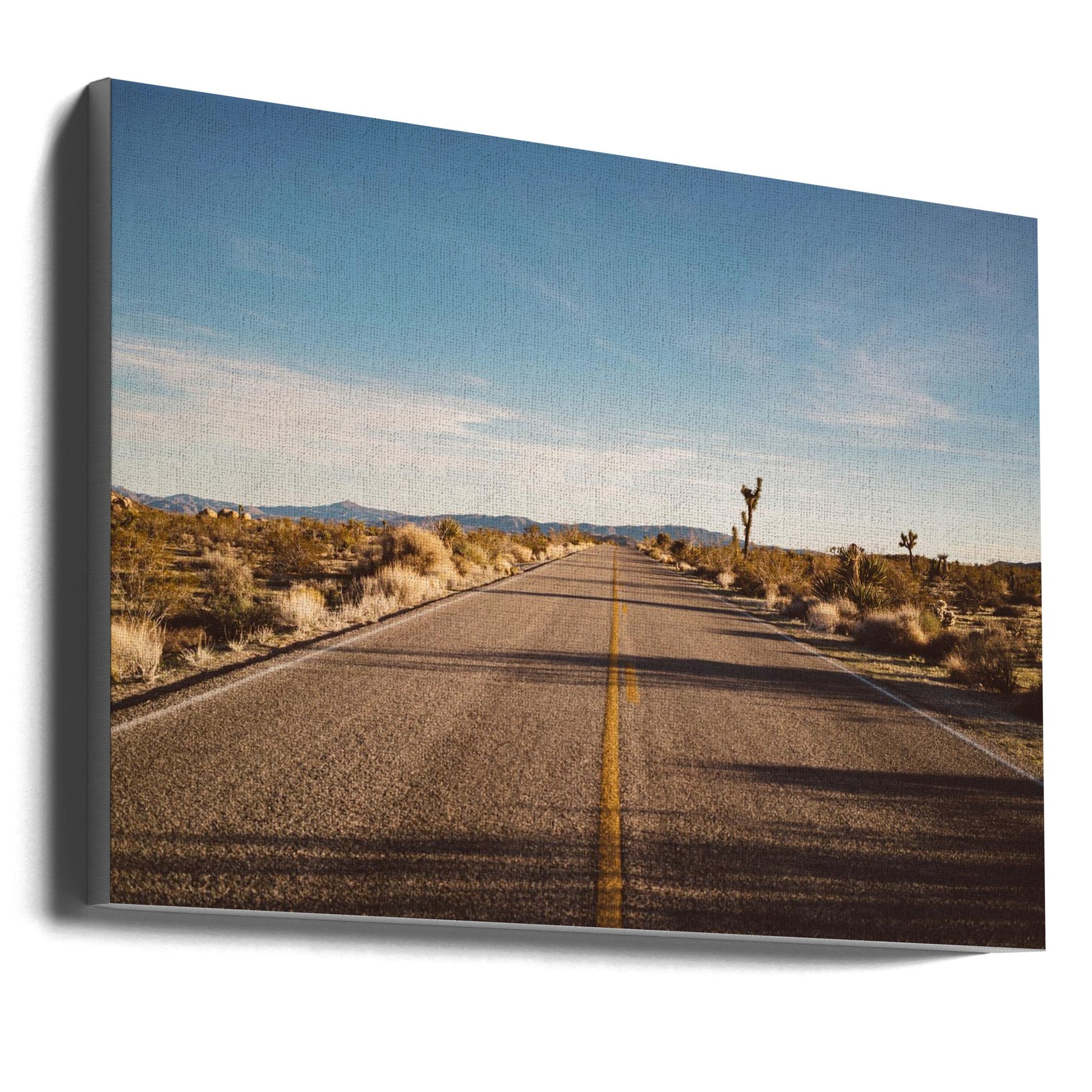 Joshua Tree Road by Bethany Young-canvas-DECOROLALA