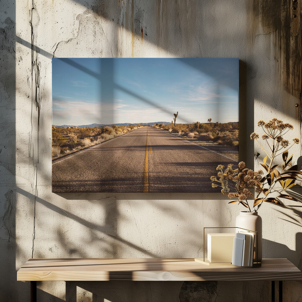 Joshua Tree Road by Bethany Young-canvas-DECOROLALA