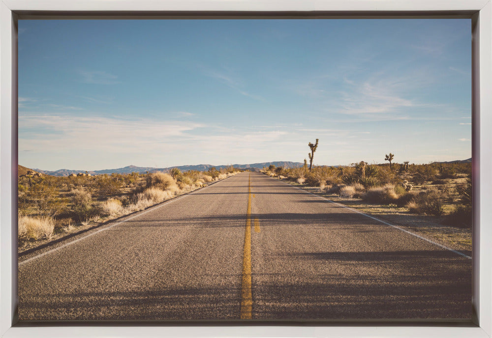 Joshua Tree Road by Bethany Young-canvas-DECOROLALA
