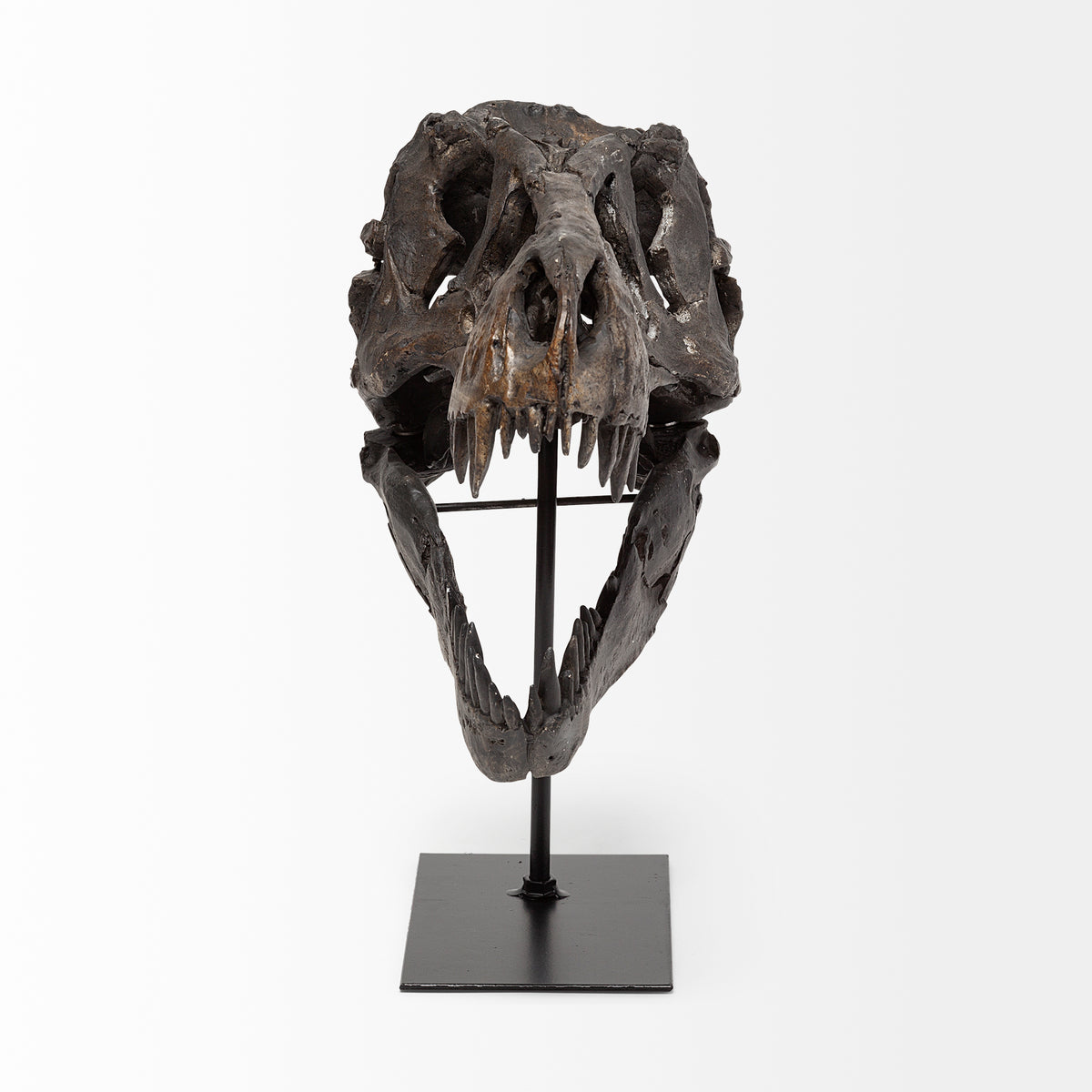 Jurassic Tyrannosaurus Skull Replica - Brown Resin with Stand-Objects-DECOROLALA