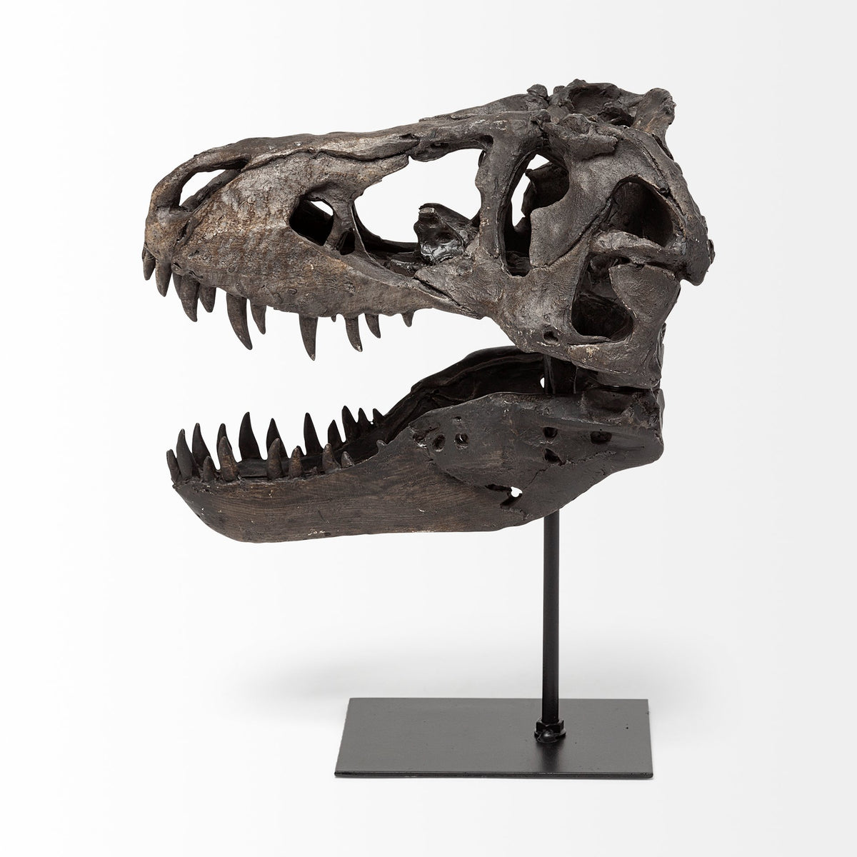 Jurassic Tyrannosaurus Skull Replica - Brown Resin with Stand-Objects-DECOROLALA