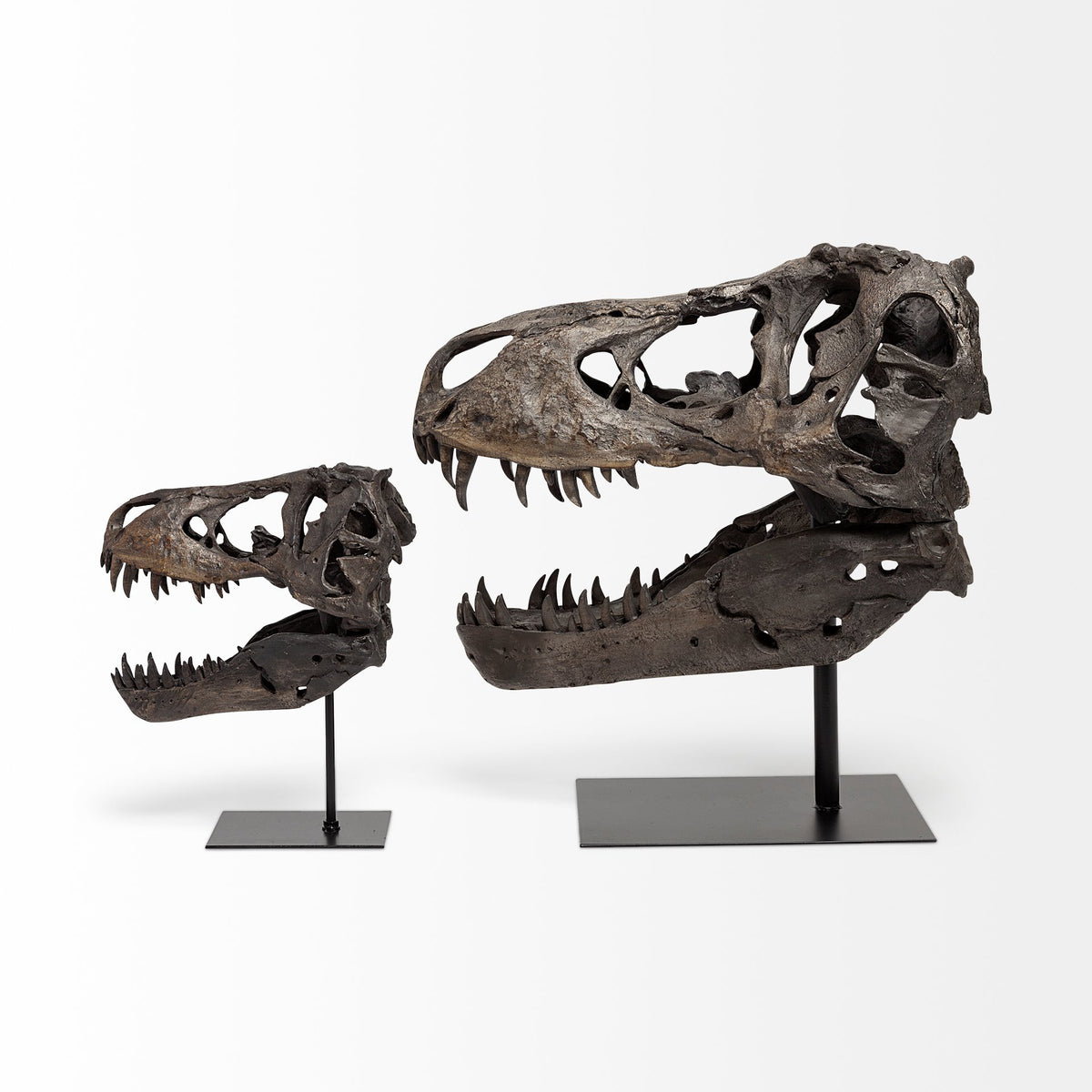 Jurassic Tyrannosaurus Skull Replica - Brown Resin with Stand-Objects-DECOROLALA