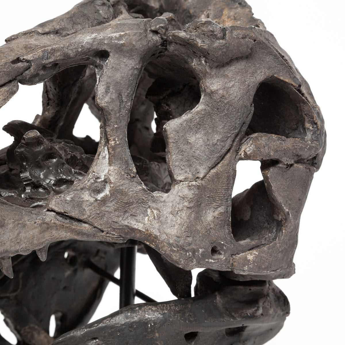 Jurassic Tyrannosaurus Skull Replica - Brown Resin with Stand-Objects-DECOROLALA