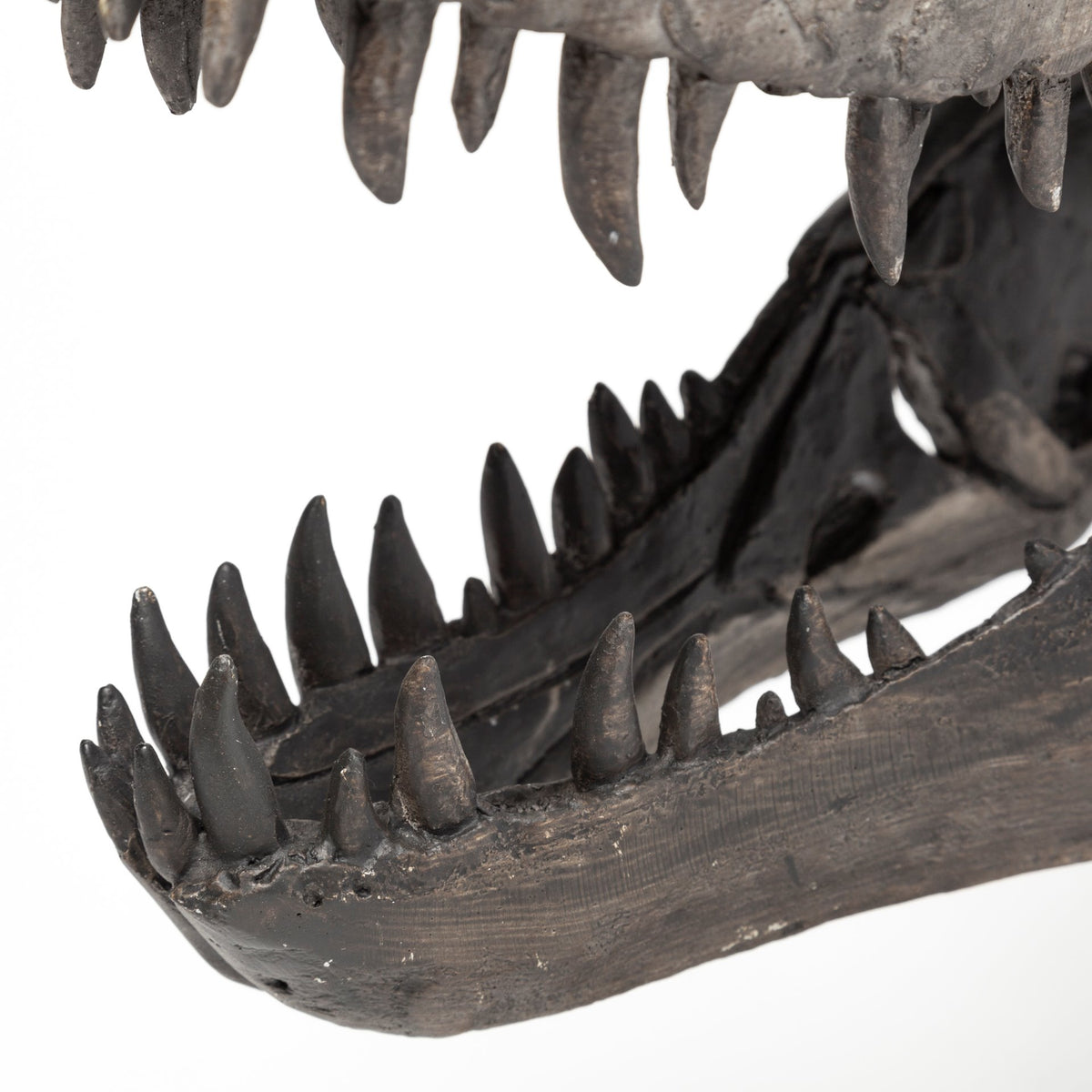 Jurassic Tyrannosaurus Skull Replica - Brown Resin with Stand-Objects-DECOROLALA