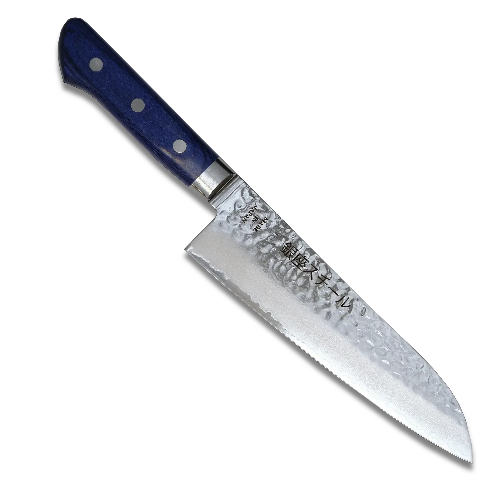 KASUMI 180- Damascus VG10 Santoku Knife 180mm-RB-Santoku Knife-DECOROLALA