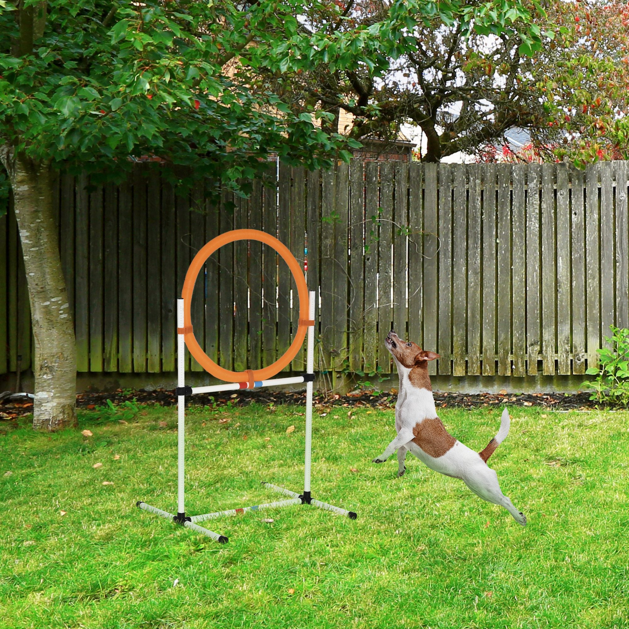 Équipement d’agilité 2-en-1 pour l’entraînement des chiens, avec anneau de saut et barre d’obstacle, installation simple et facile, sac de rangement
