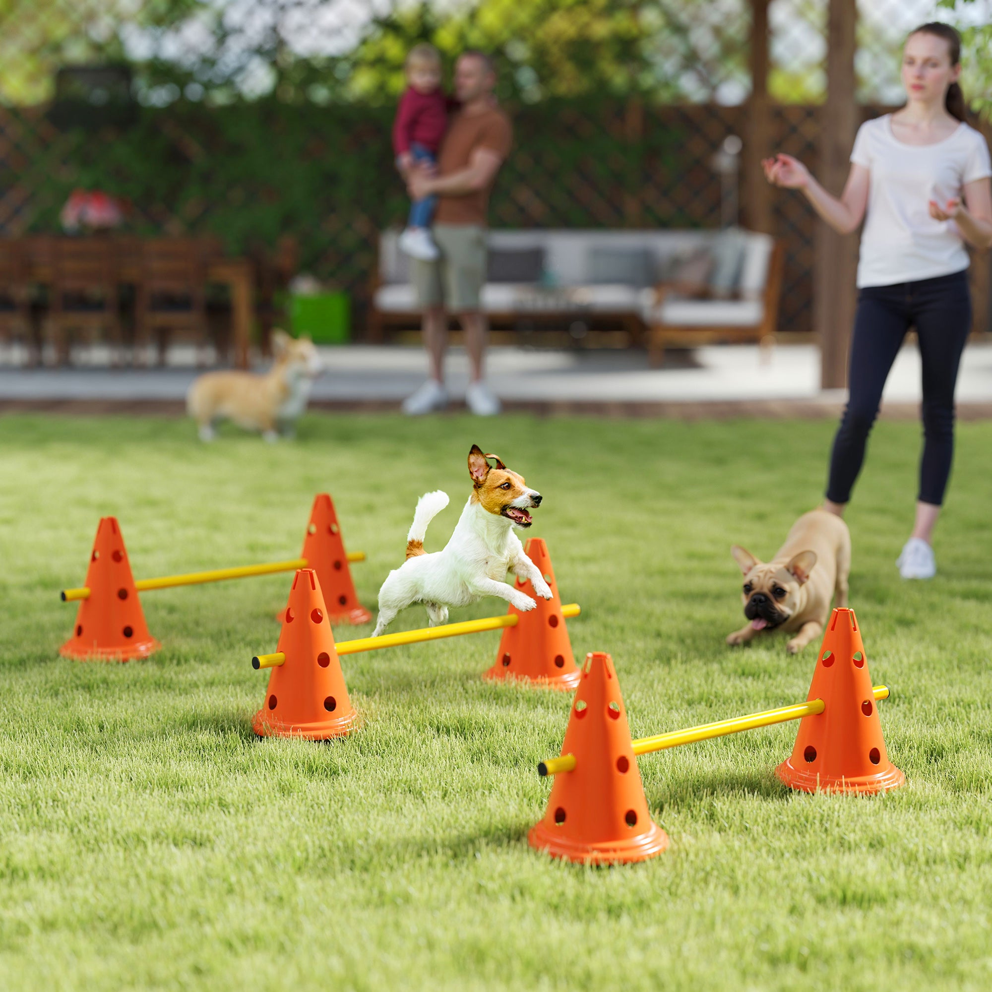 Ensemble de cônes pour haies d’agilité canine, équipement de parcours d’obstacles réglable avec 6 cônes et 6 barres, sac de transport, orange