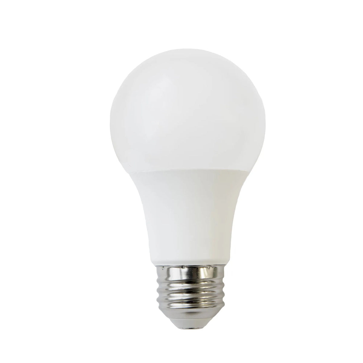 Kassa-Light Bulbs-DECOROLALA