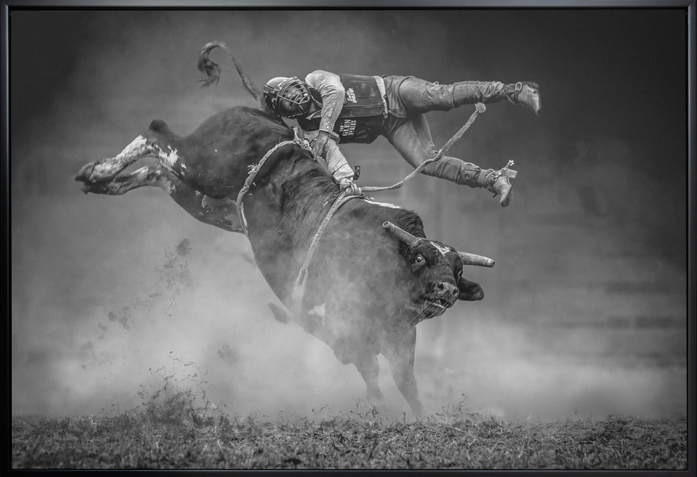Keeping Balance by Frank Ma-canvas-DECOROLALA