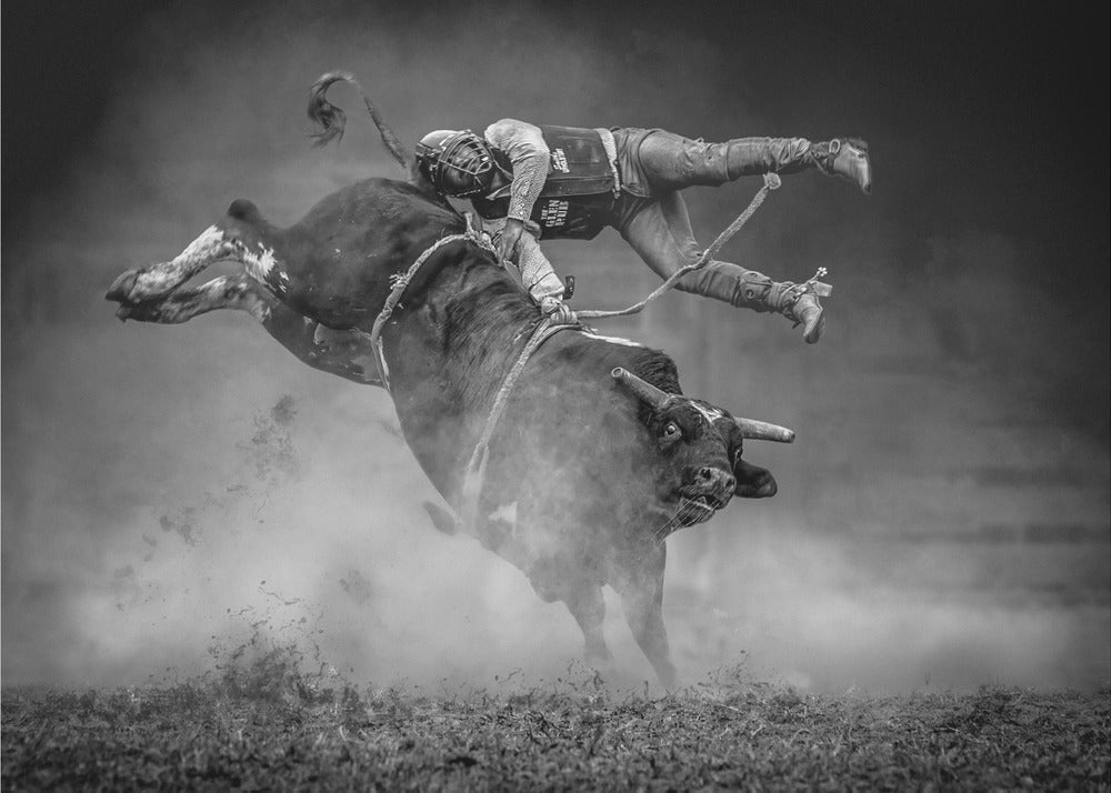 Keeping Balance by Frank Ma-canvas-DECOROLALA