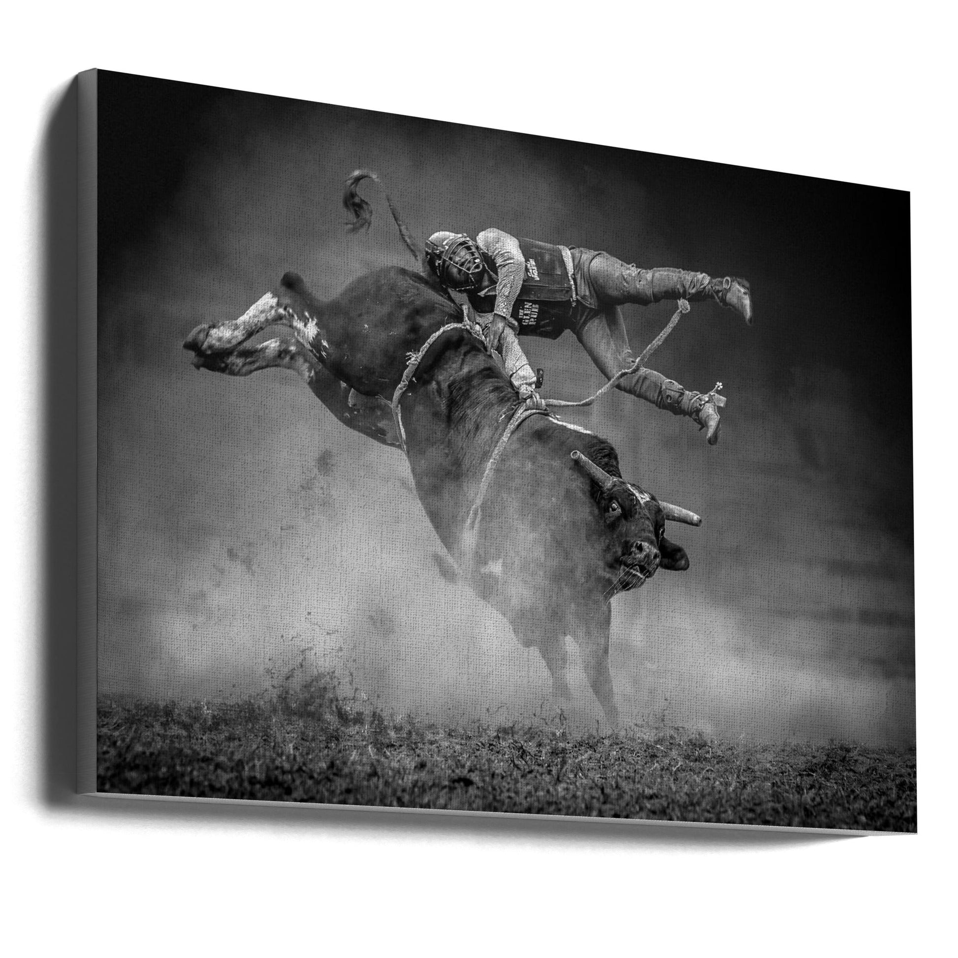 Keeping Balance by Frank Ma-canvas-DECOROLALA
