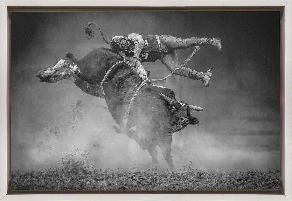 Keeping Balance by Frank Ma-canvas-DECOROLALA