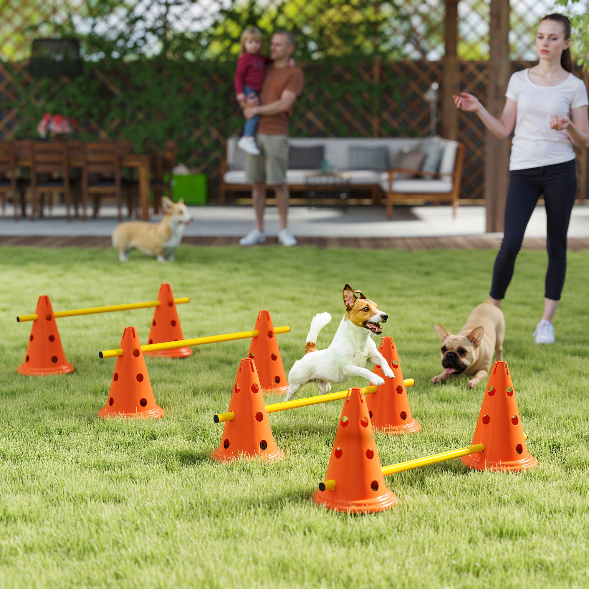 Ensemble de cônes pour haies d’agilité canine, équipement de parcours d’obstacles réglable avec 8 cônes et 8 poteaux, sac de transport, orange