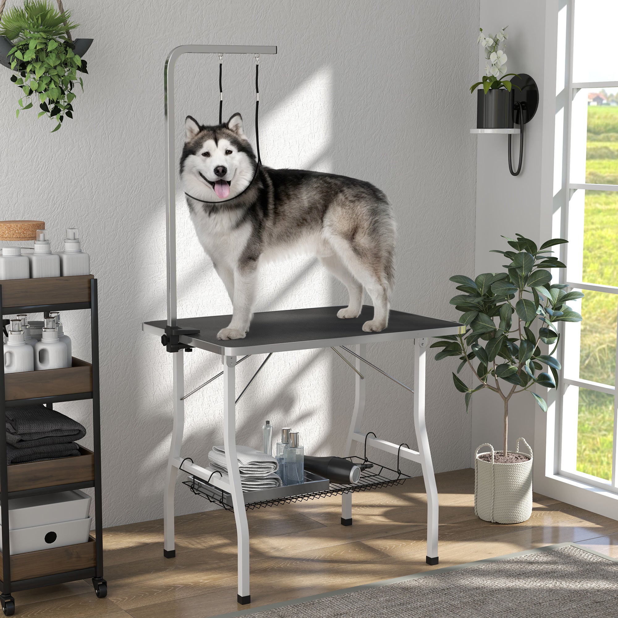 Dog Grooming Table w/ Adjustable Arm, Mesh Tray,  Two Nooses, Rubber Surface, 35" x 24" x 61", Black