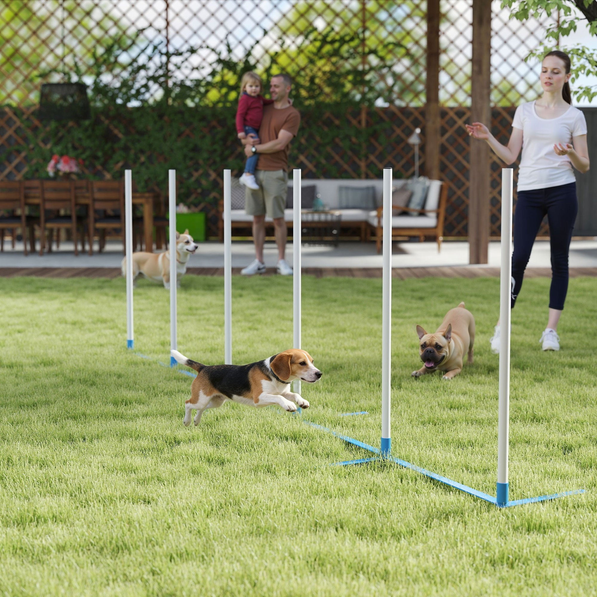 Ensemble d’obstacles réglables d’entraînement à l’agilité canine avec poteaux de slalom et sac de rangement, pour chiens domestiques, jeux et exercices en extérieur, bleu et blanc