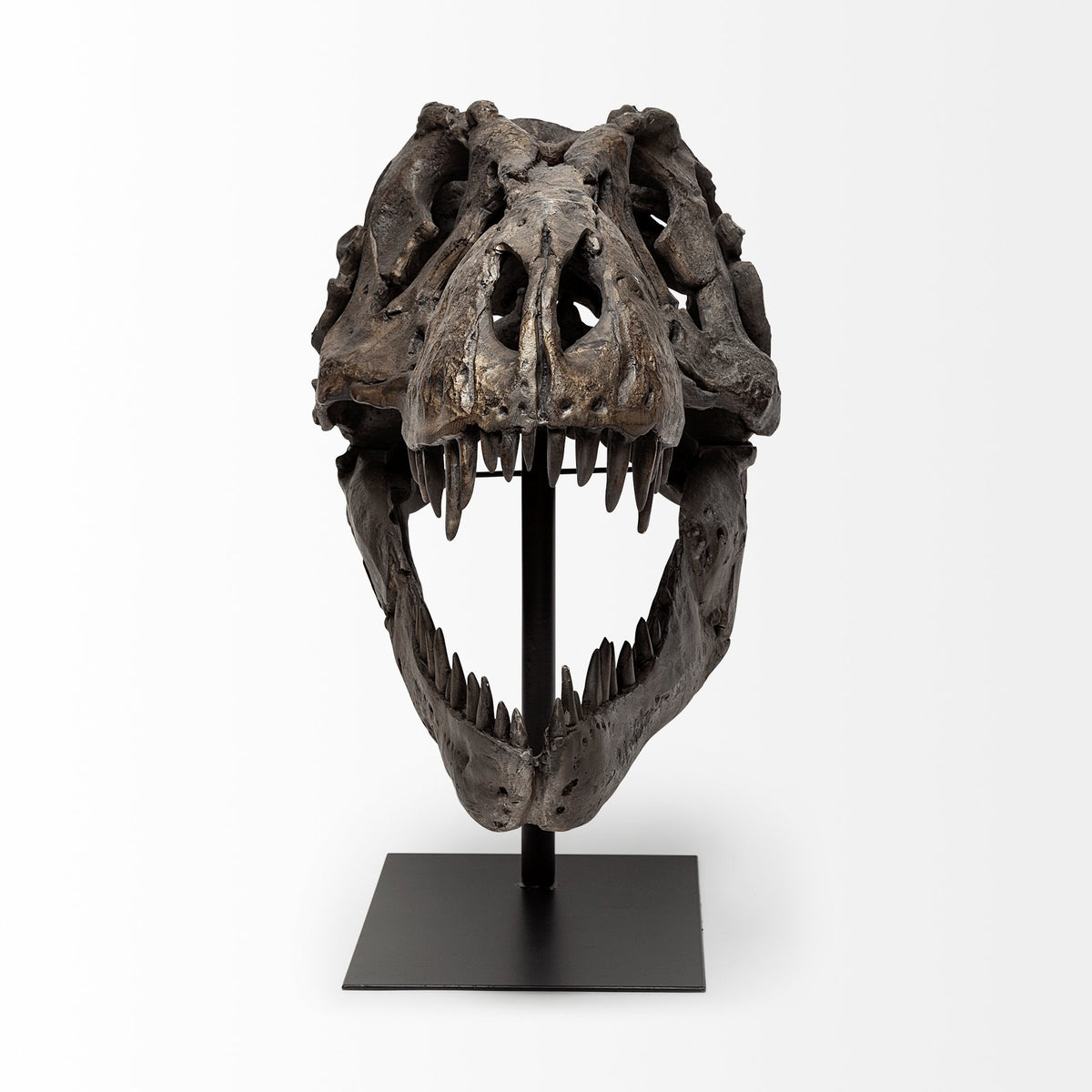 Lagrane T-Rex Dinosaur Skull Replica with Metal Stand - Brown 19"L-Objects-DECOROLALA