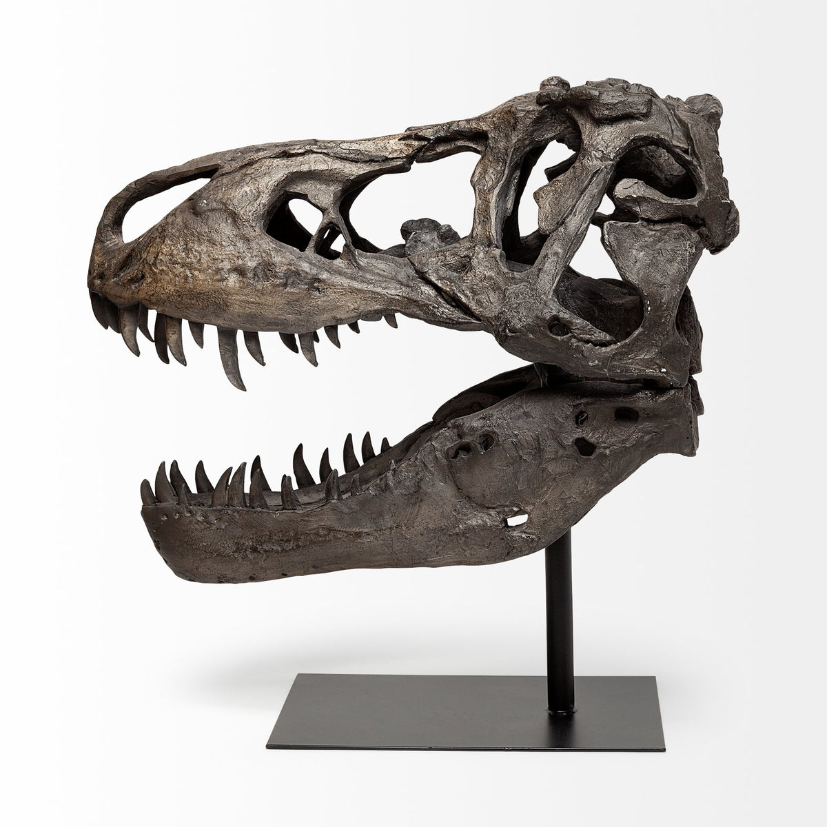Lagrane T-Rex Dinosaur Skull Replica with Metal Stand - Brown 19"L-Objects-DECOROLALA