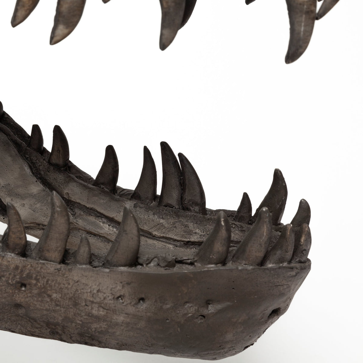 Lagrane T-Rex Dinosaur Skull Replica with Metal Stand - Brown 19"L-Objects-DECOROLALA