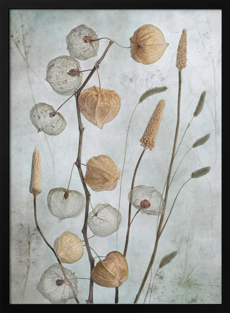 Lanterns* Wall Art by Mandy Disher-canvas-DECOROLALA
