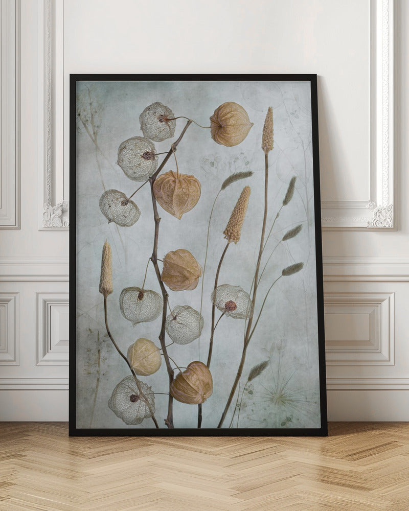 Lanterns* Wall Art by Mandy Disher-canvas-DECOROLALA