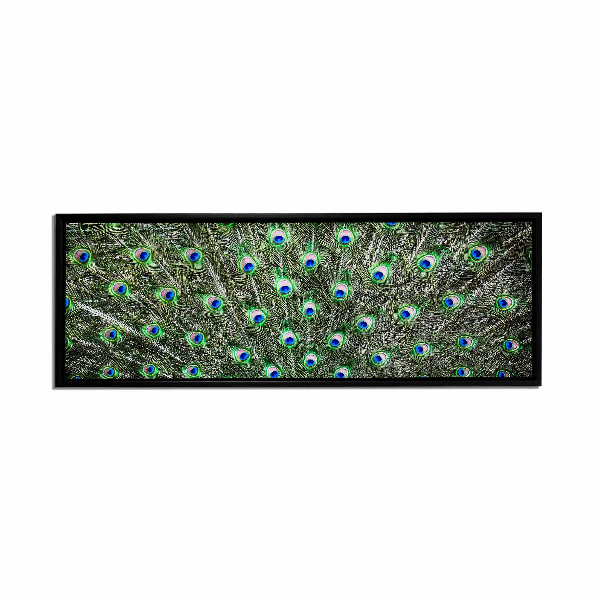 Large Canvas Wall art-Peacock Feathers-Nature Artwork-Wall Art-DECOROLALA