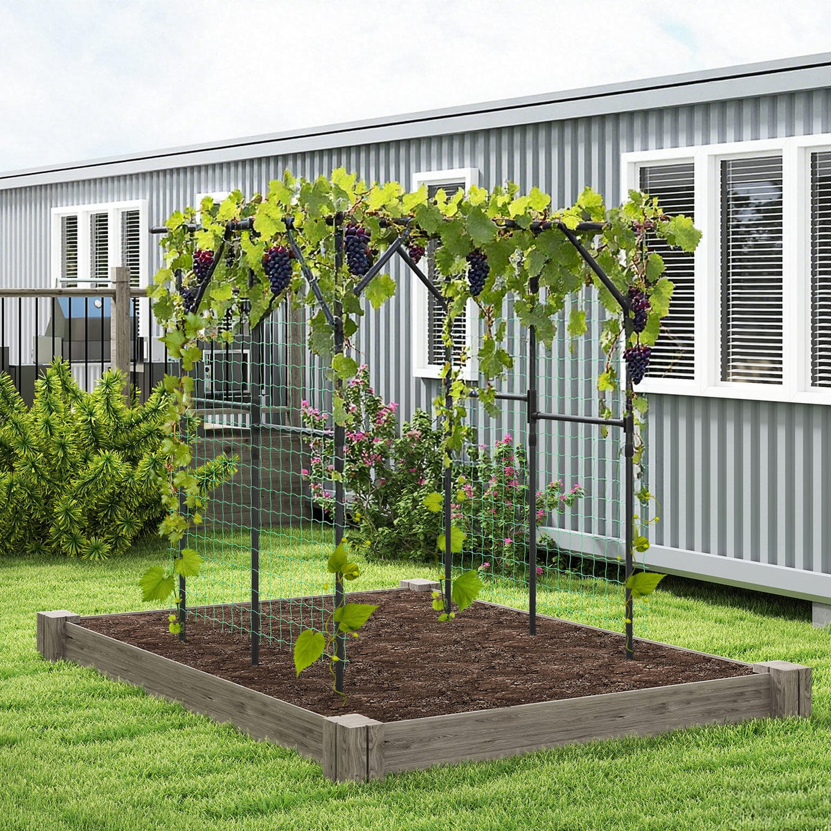 Large Garden Arch Trellis for Climbing Plants Outdoor Grape Vine Support-Black-Garden Arbors-DECOROLALA