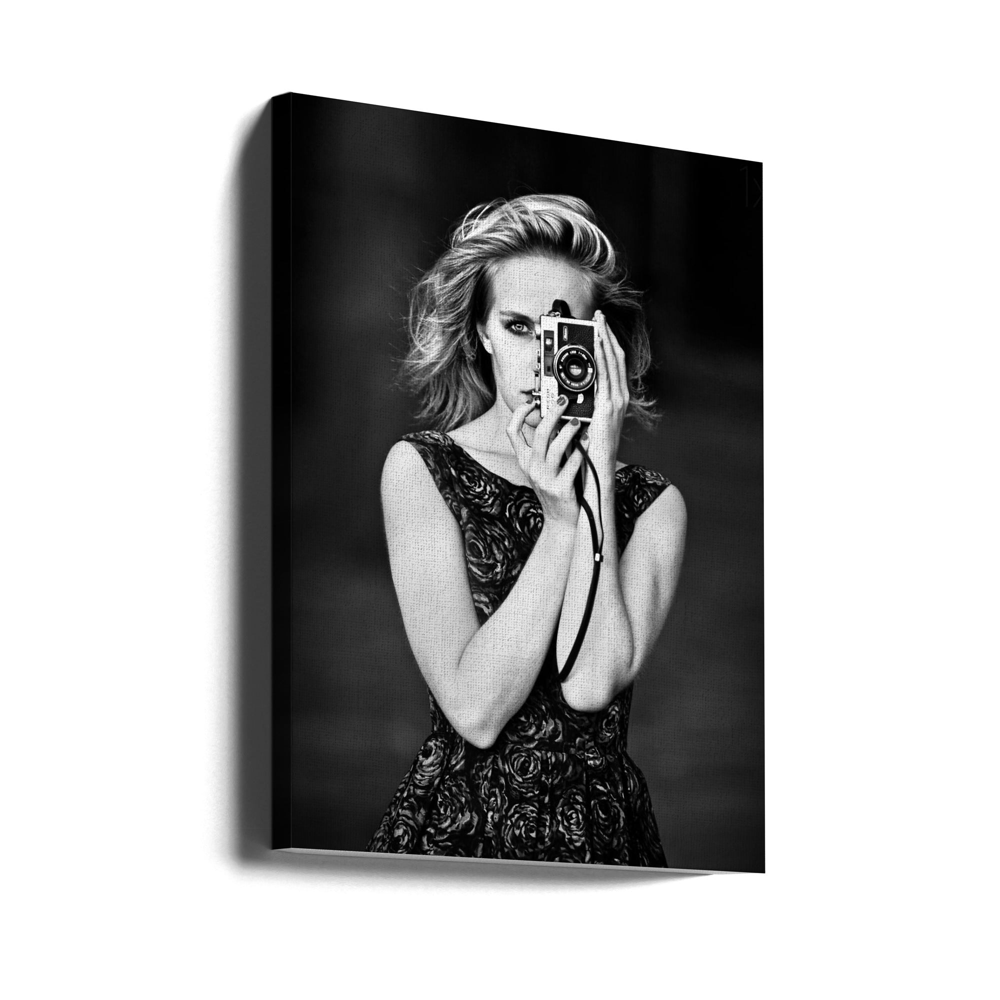 Lars Hur Canvas Wall Art Print-Canvas Print-DECOROLALA