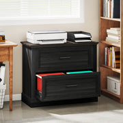 Lateral Filing Cabinet, Farmhouse File Cabinet with 2 Silent Drawers for Letter/A4/Legal Size Files, Black-Office Storage Cabinets-DECOROLALA