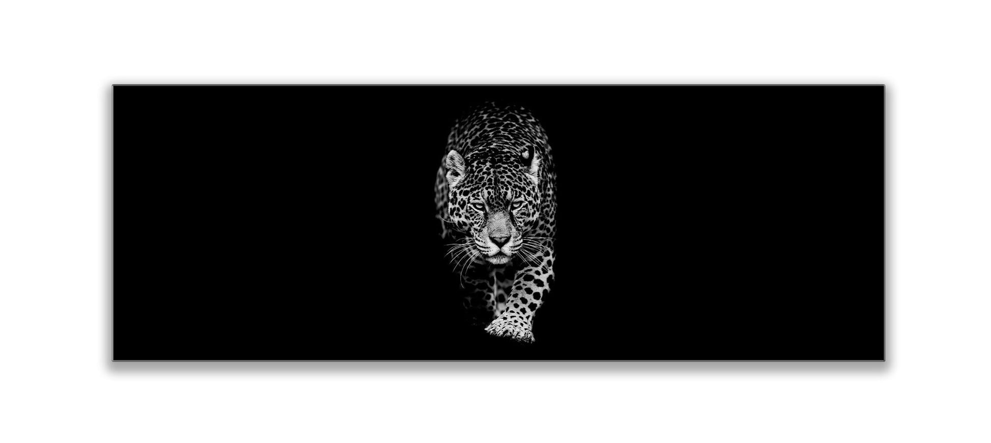 Leopard in Black & White Canvas Print 72x24-Print-DECOROLALA