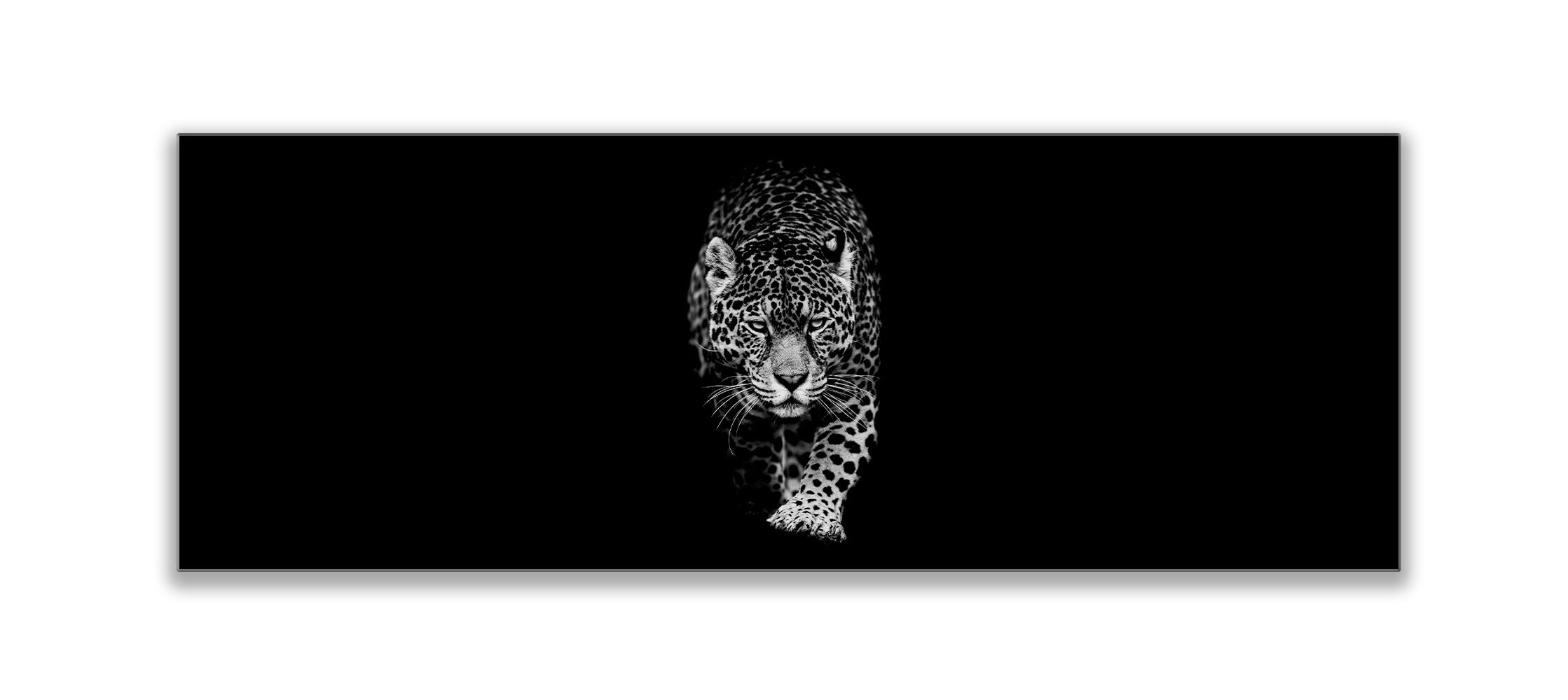 Leopard in Black & White Canvas Print 72x24-Print-DECOROLALA