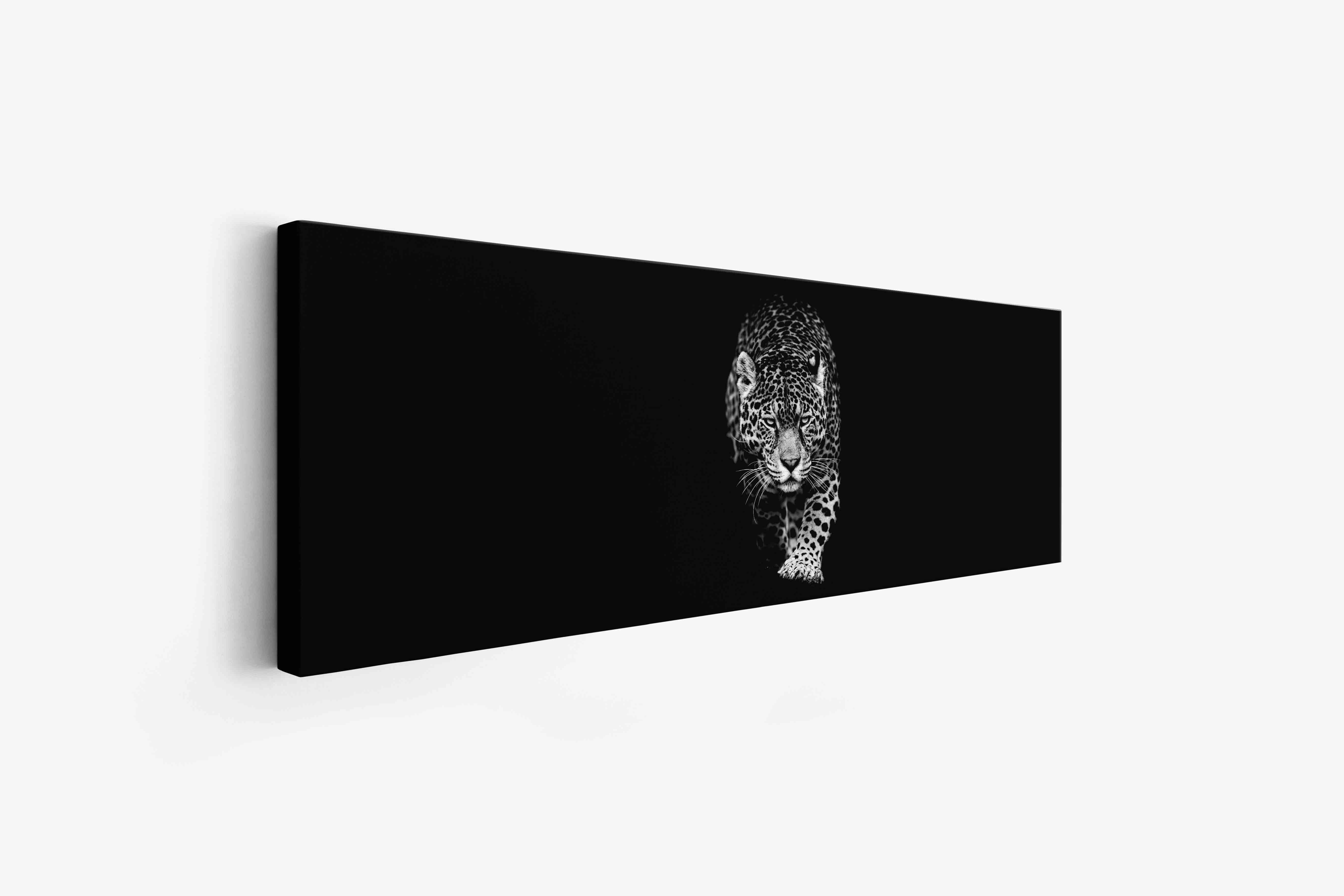 Leopard in Black & White Canvas Print 72x24-Print-DECOROLALA