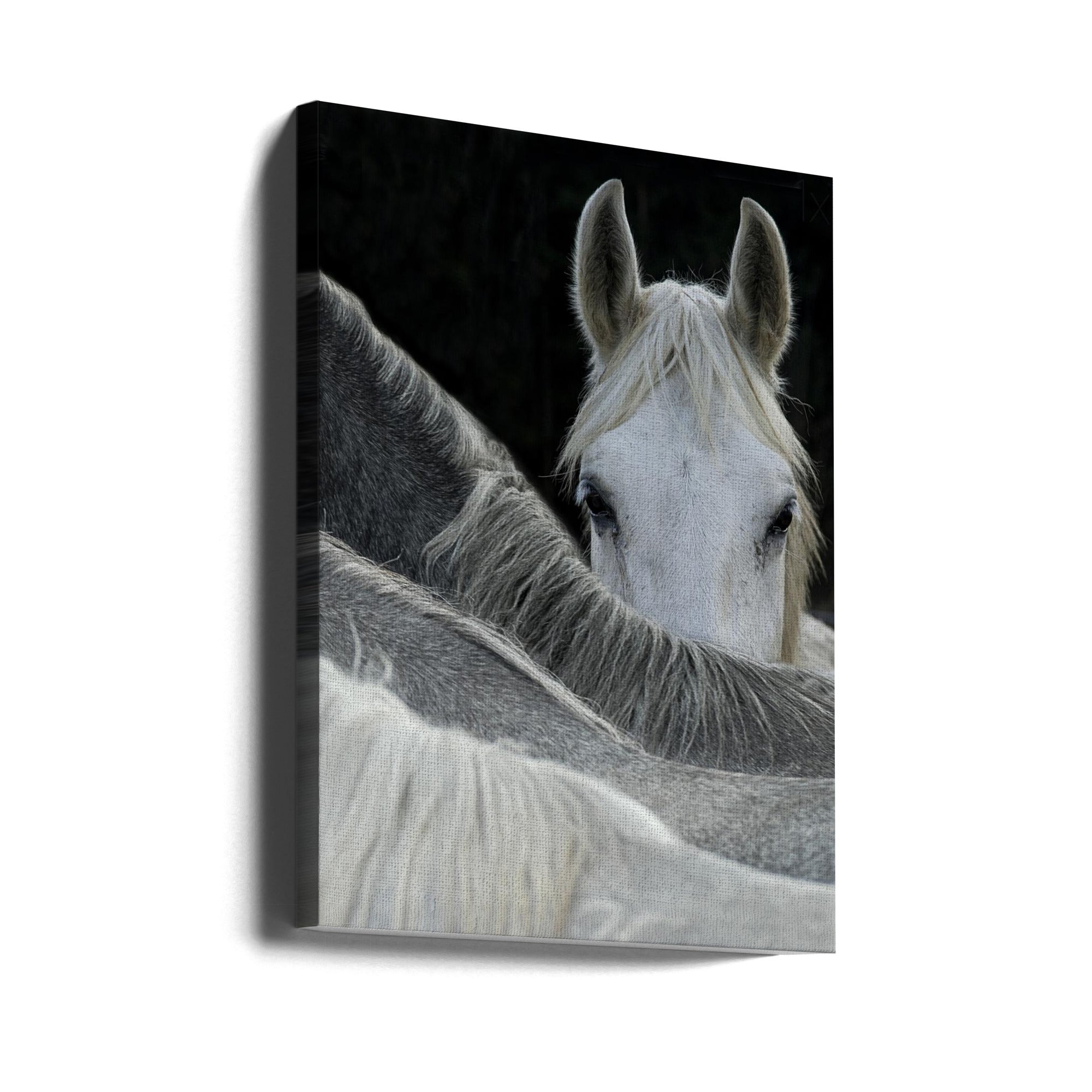 Look by Milan Malovrh Wall Art-canvas-DECOROLALA
