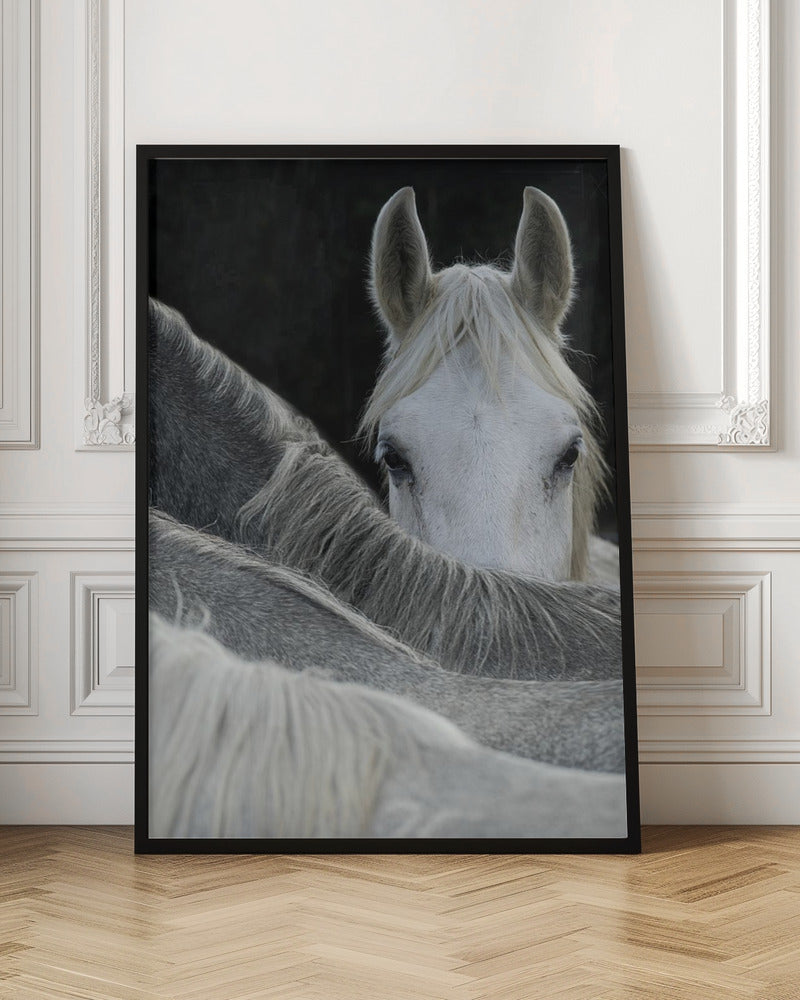 Look by Milan Malovrh Wall Art-canvas-DECOROLALA