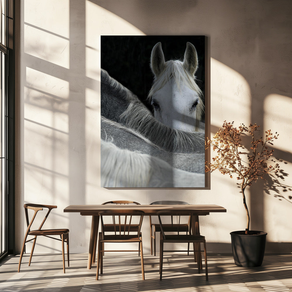 Look by Milan Malovrh Wall Art-canvas-DECOROLALA