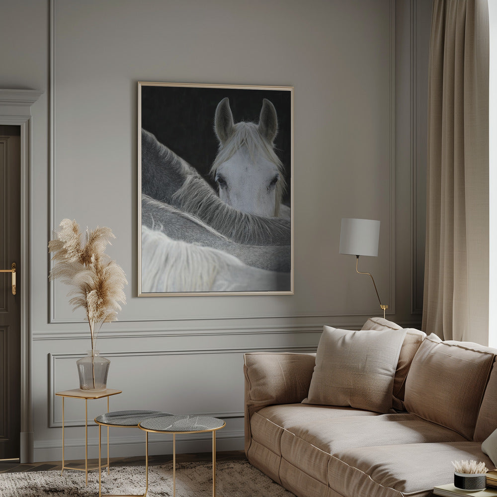Look by Milan Malovrh Wall Art-canvas-DECOROLALA