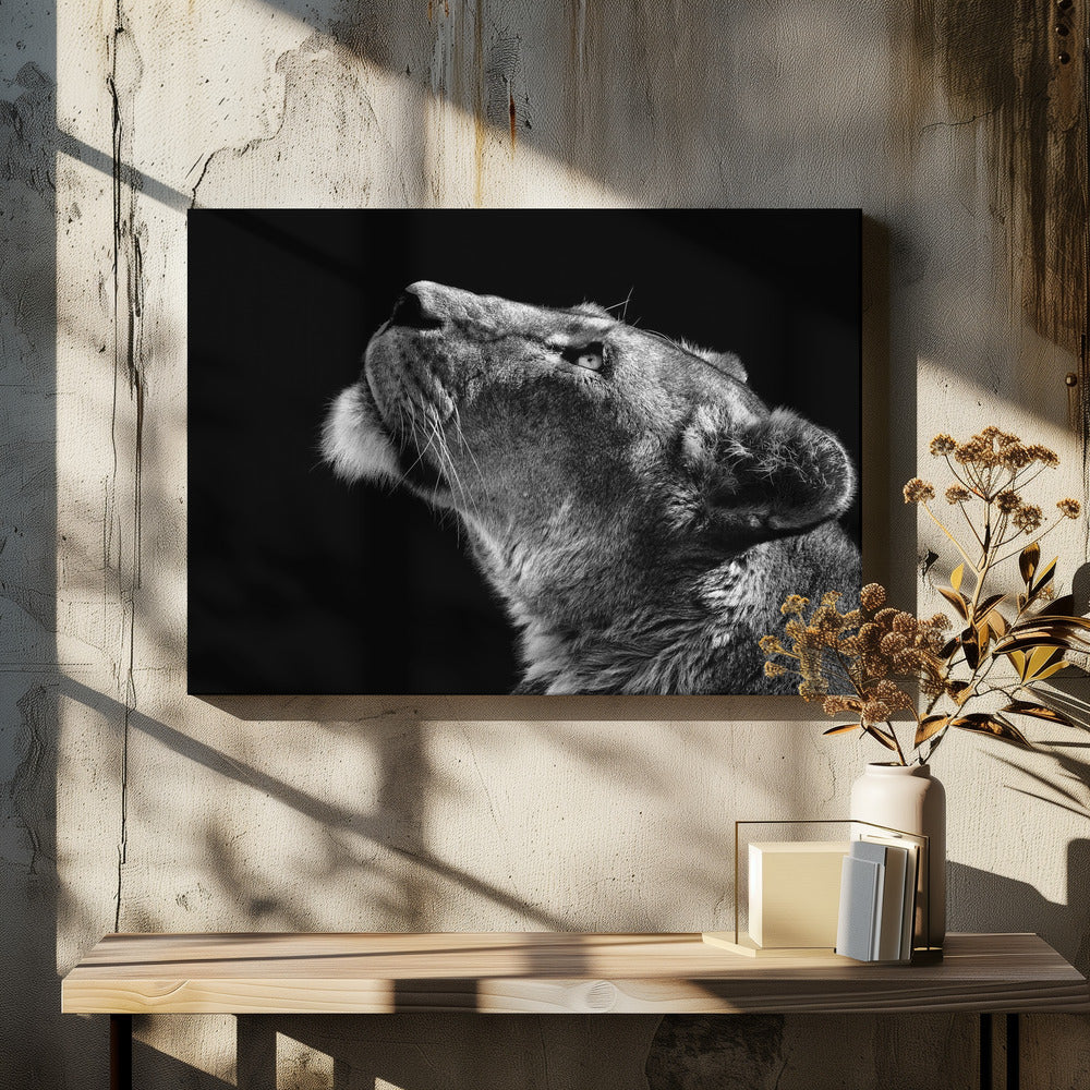 Looking Up by Christian Meermann-canvas-DECOROLALA