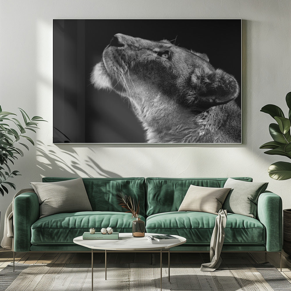 Looking Up by Christian Meermann-canvas-DECOROLALA