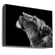 Looking Up by Christian Meermann-canvas-DECOROLALA