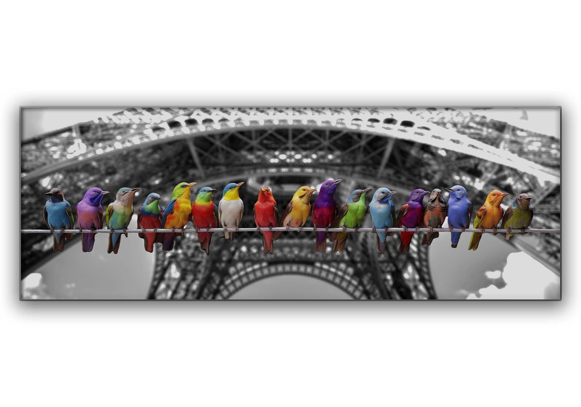 Love Birds Fine Art Canvas Print 72x24-Canvas Print-DECOROLALA