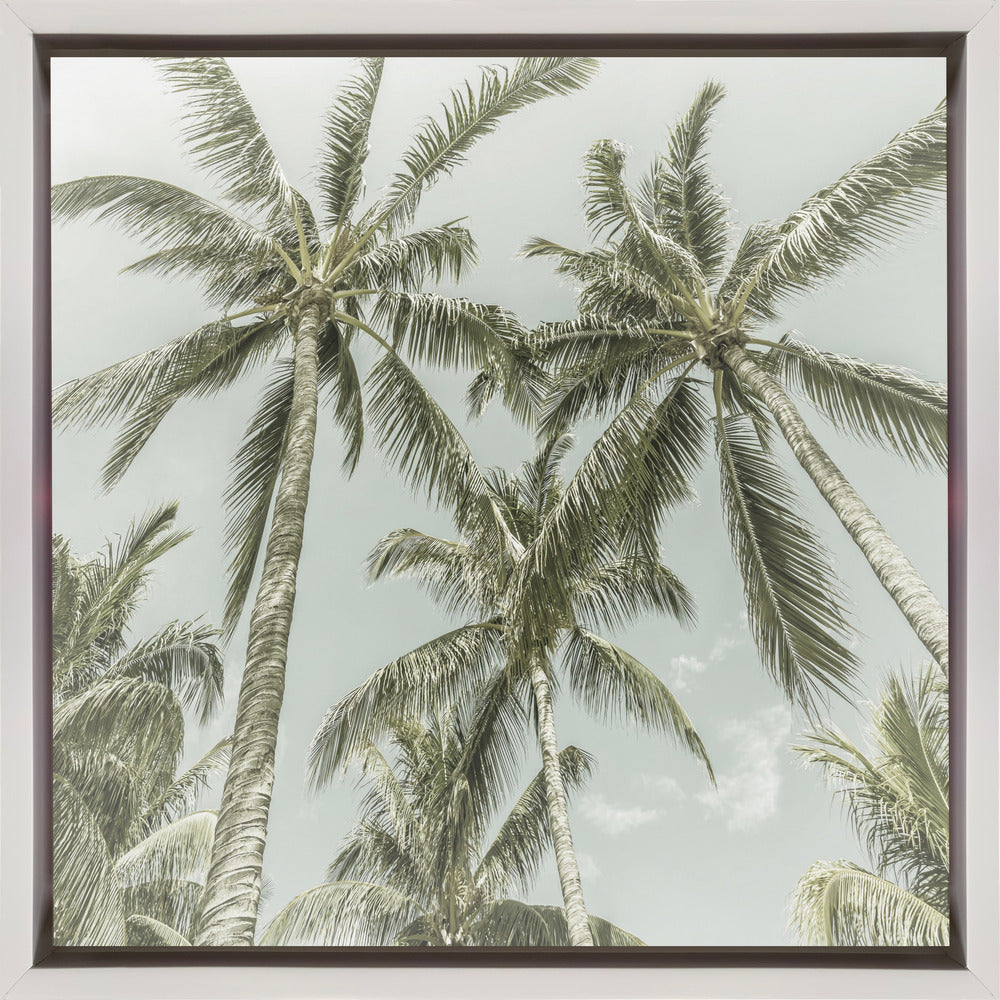 Lovely Vintage Palm Trees by Melanie Viola-canvas-DECOROLALA