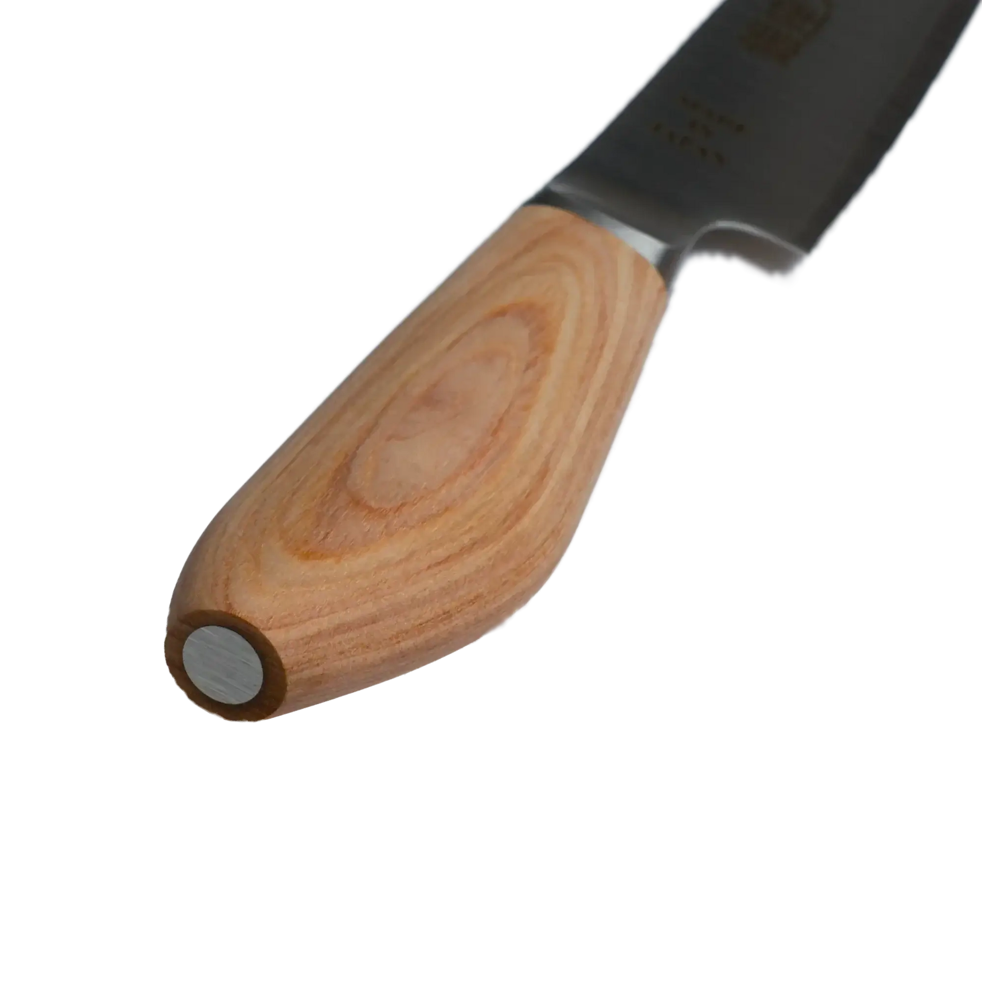 MATSUE 130 | MV Stainless Steel Petty Knife 130mm/Natural Wood Handle-Petty Knife-DECOROLALA