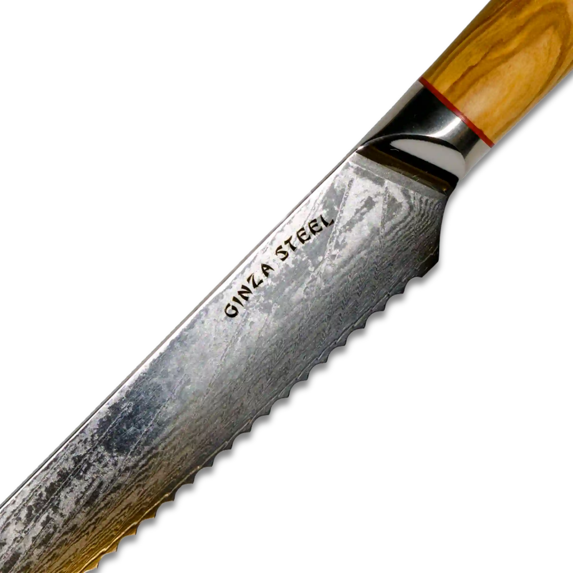 MIA Z Bread Knife 8" Damascus AUS10 Steel Olive Wood-Bred Knife-DECOROLALA