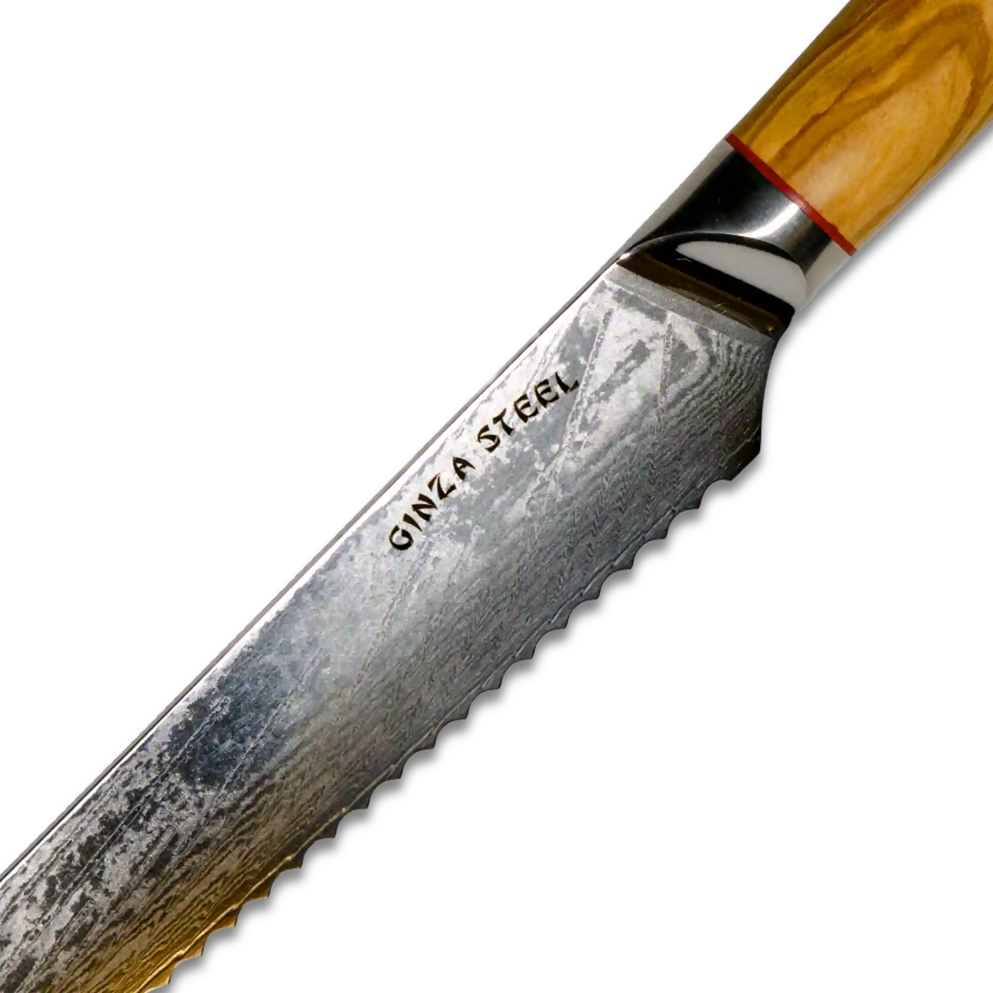 MIA Z Bread Knife 8" Damascus AUS10 Steel Olive Wood-Bred Knife-DECOROLALA
