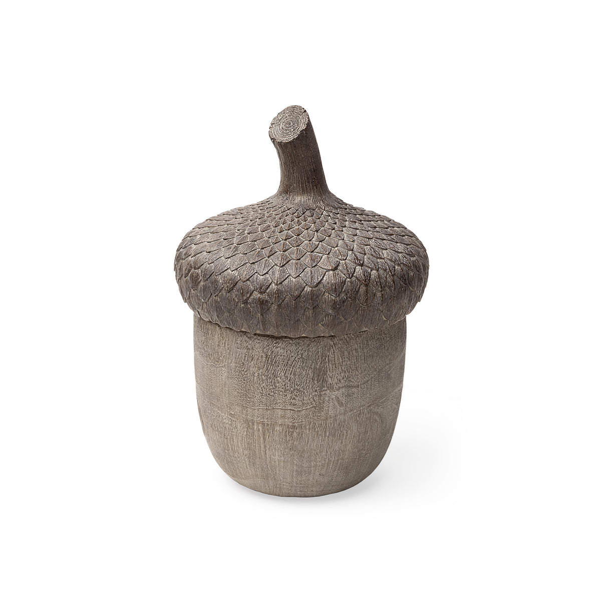 Mandor I Small Brown Resin Acorn Box with Lid - 6" x 6"-Decorative Boxes-DECOROLALA