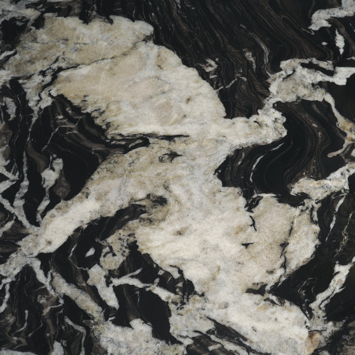 Marilyn 48" Round Pedestal Dining Table | Black Forest Marble & Black Wood | Seats 4-Dining Tables-DECOROLALA
