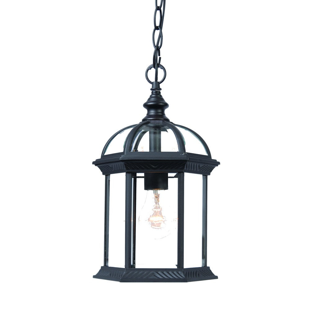 Matte Black Cage Hanging Light-Outdoor Lighting-DECOROLALA